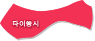 타이중시